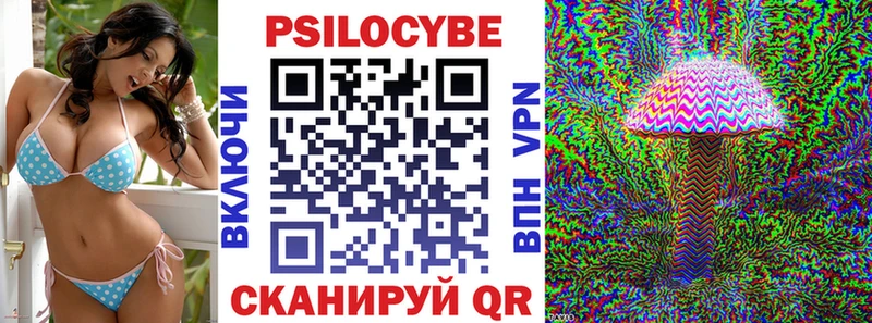MEGA ТОР  Судогда  Псилоцибиновые грибы Psilocybine cubensis 