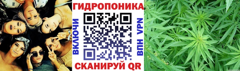 хочу наркоту  Судогда  МАРИХУАНА индика 